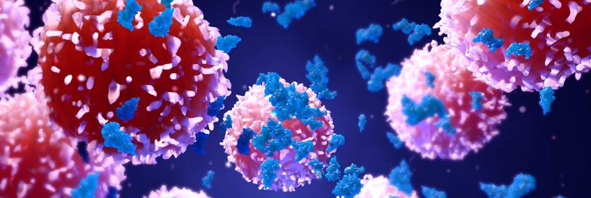 Immunochemistry
